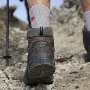 Treffpunkt: Söhrer Forsthaus – Freizeit