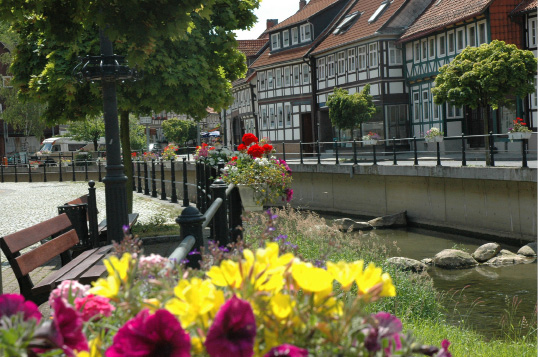 Tour 08 Kaffeefahrt in die Kurstadt Freizeit